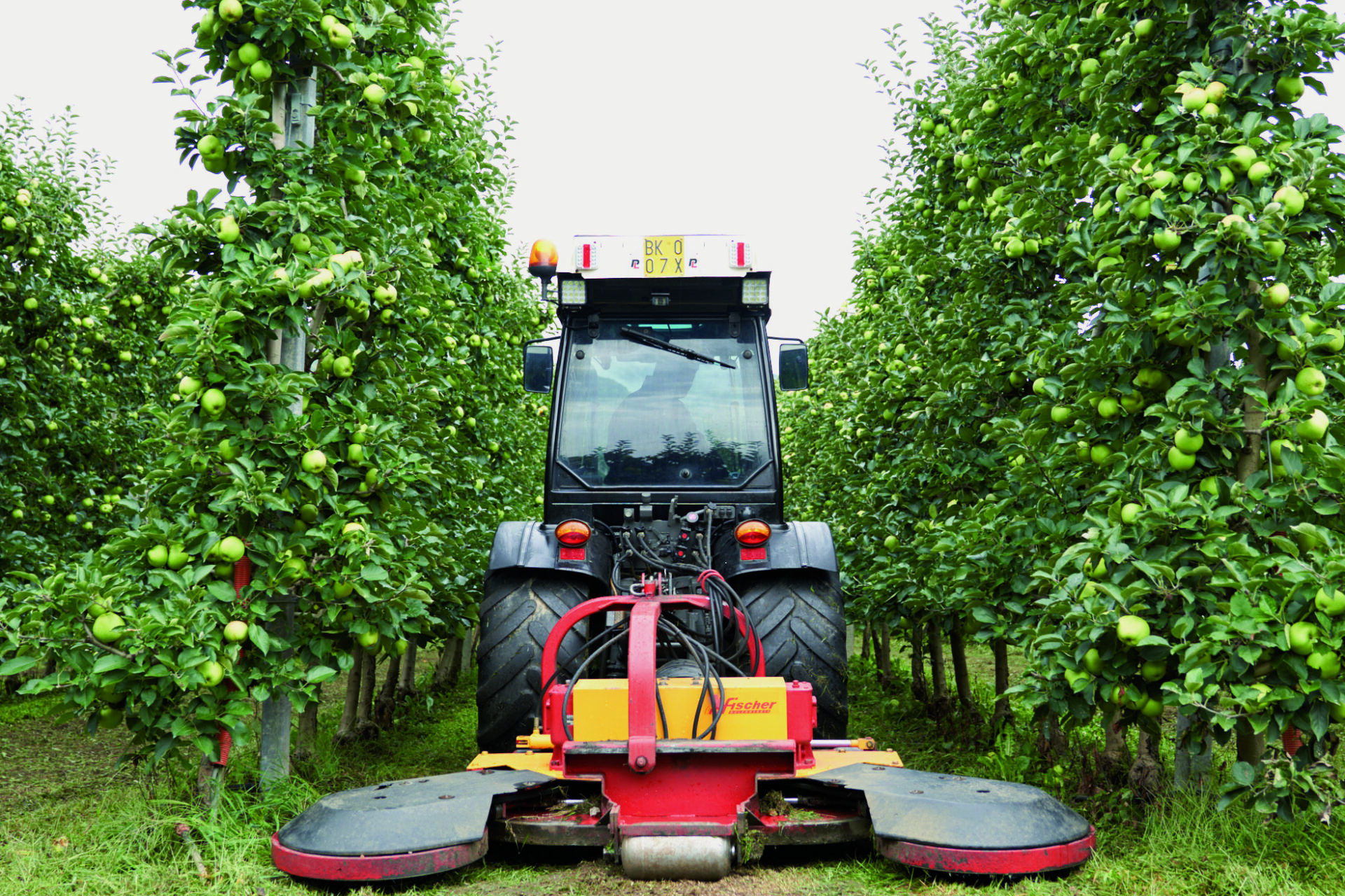 Trattore con attrezzo nel frutteto