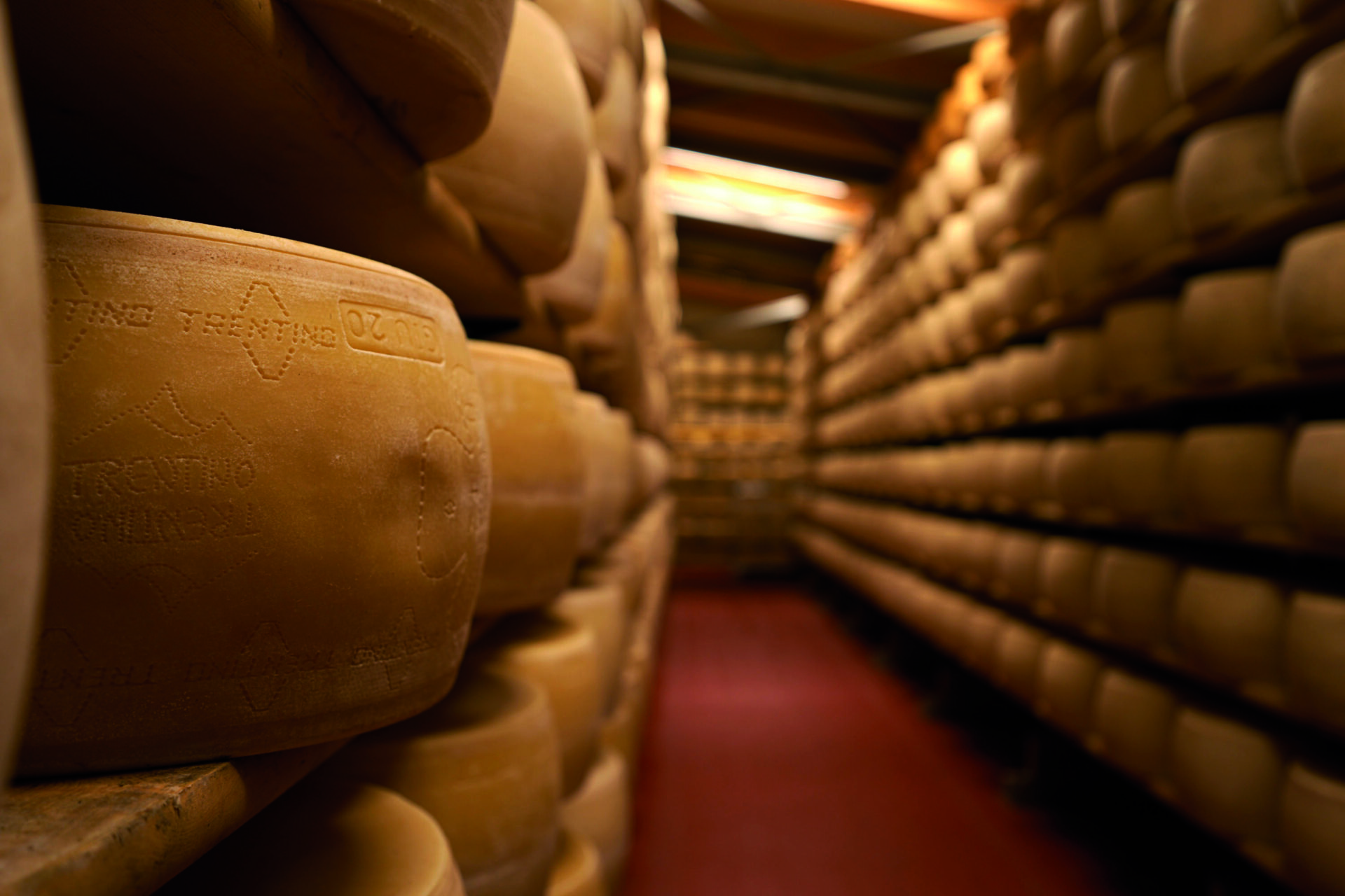 Formaggio in stagionatura