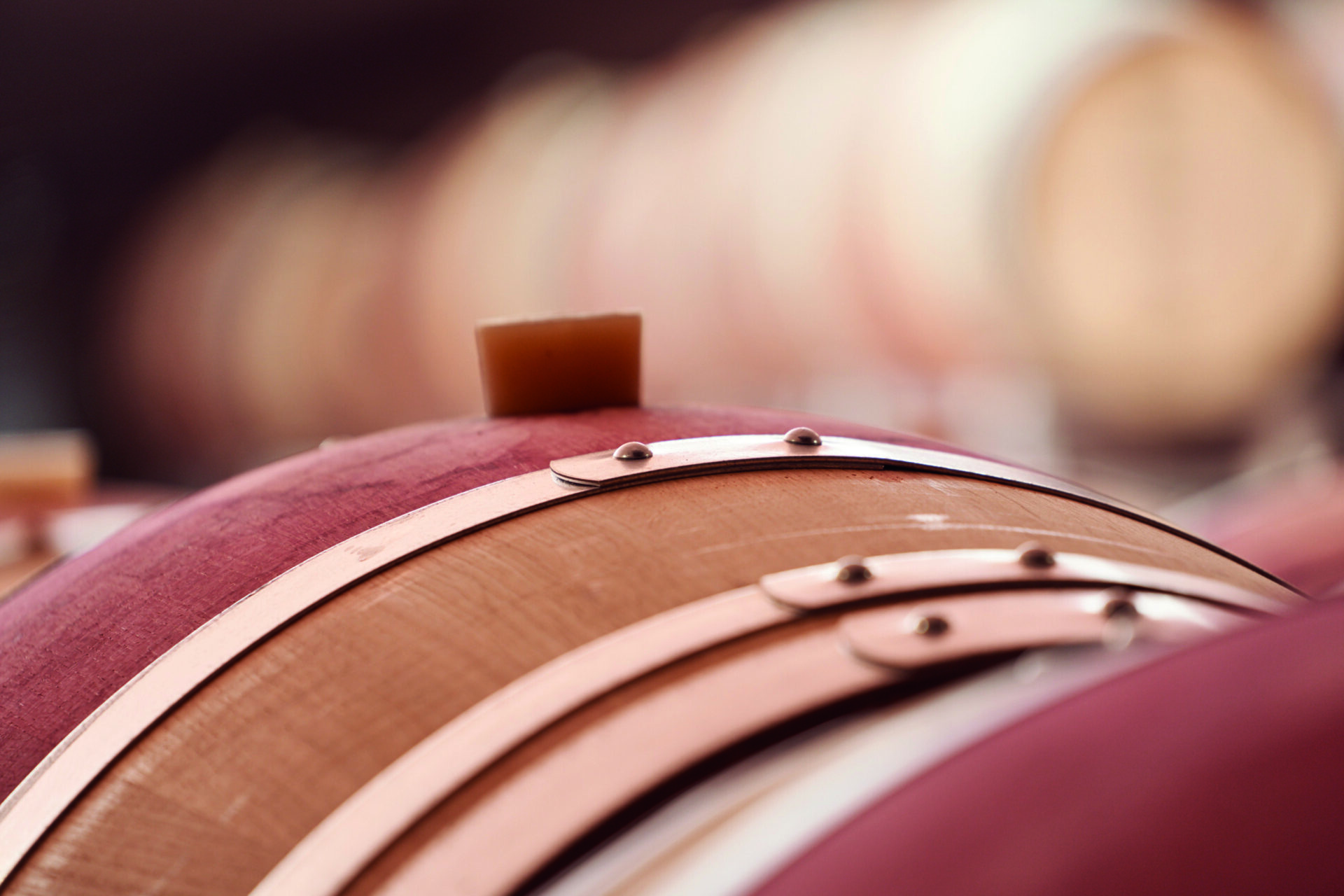 Botti di vino in cantina